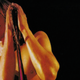 Illustration for article titled Where to start with the primal howl of Iggy Pop